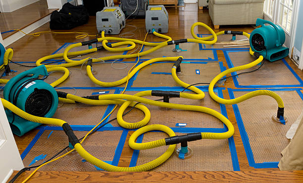 Professional Water Damage Restoration technician working in Amissville, VA